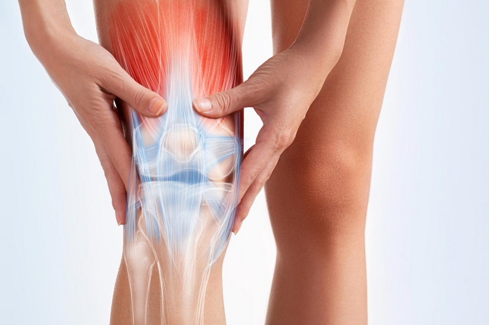 Mythbusting Running Knee Pain: Why “Running Will Ruin Your Knees” Is Just Wrong