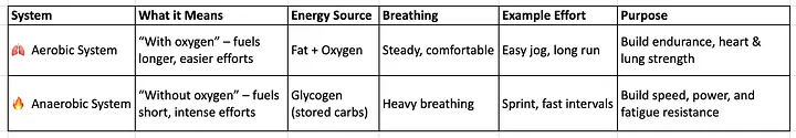 anaerobic system