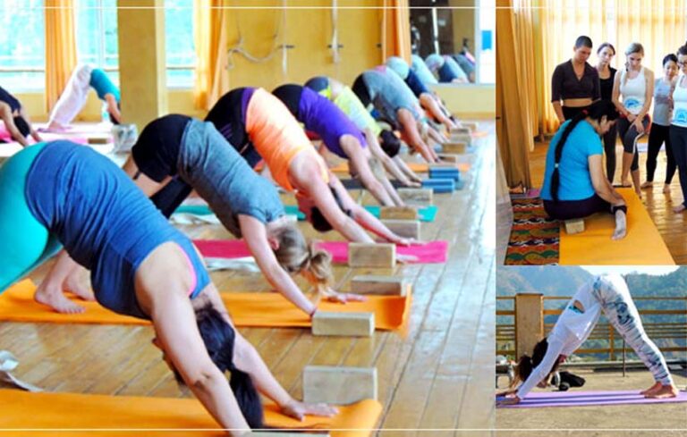 How to Start Your First Yoga Class