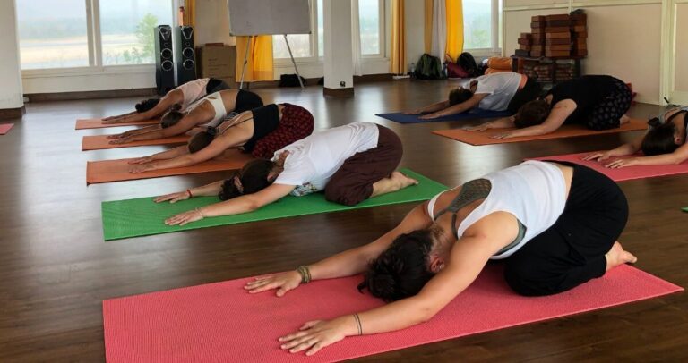The Ultimate Beginner’s Guide to Yoga: Styles, Benefits, Poses & How to Start