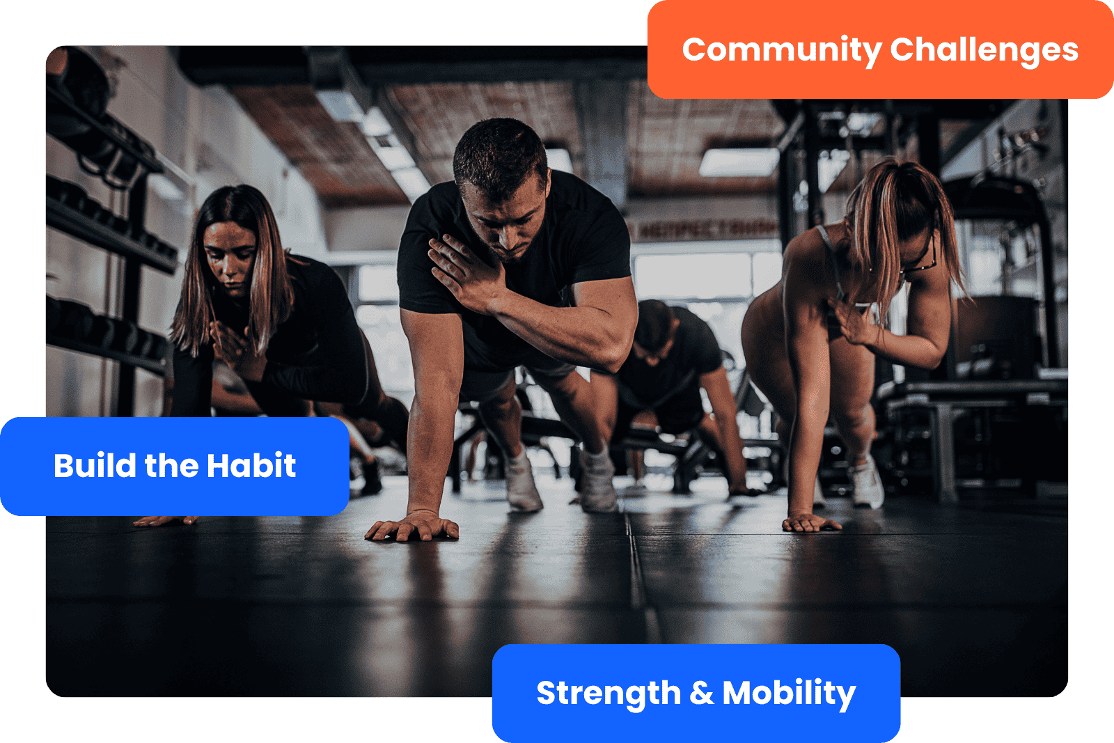 Strength Training - The High Five Tribe