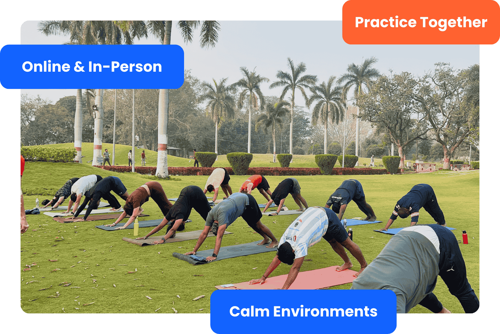 Yoga - The High Five Tribe